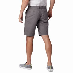 Columbia Flex ROC™ Short Herr Grå (AZDQF4506)